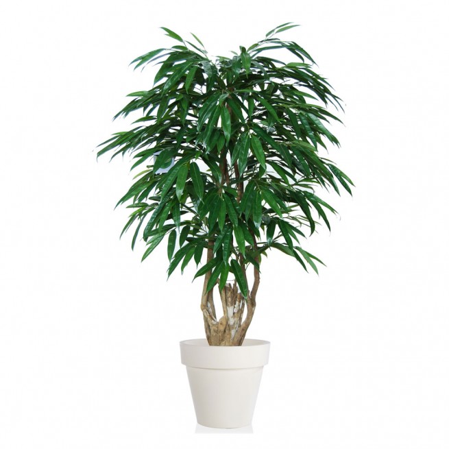 Planta semi-artificiala Ila, Longifolia Malabar Green - 150 cm